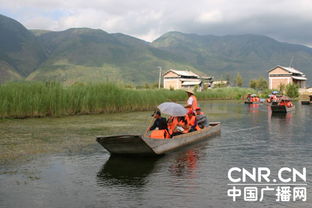 地下水资源开发利用环境效应