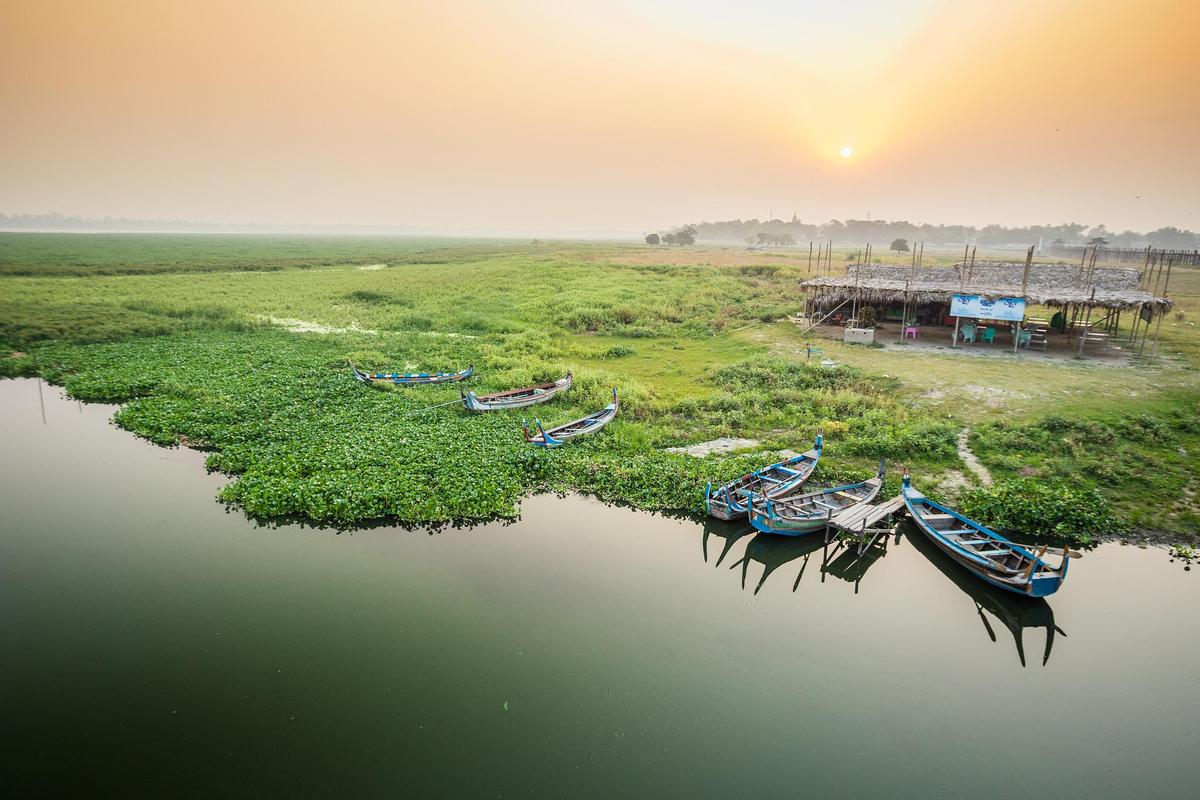 湖北洪湖旅游景点可以带狗狗吗