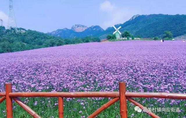 大连香洲田园城旅游度假区地图