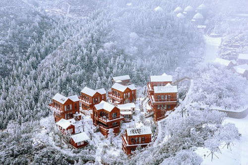 国外雪山旅游