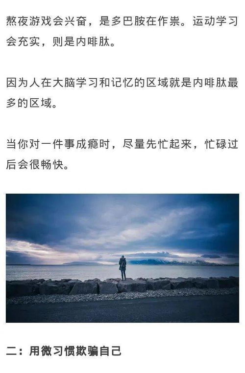 输郑钦文后哭6小时，挫折中的坚韧与成长