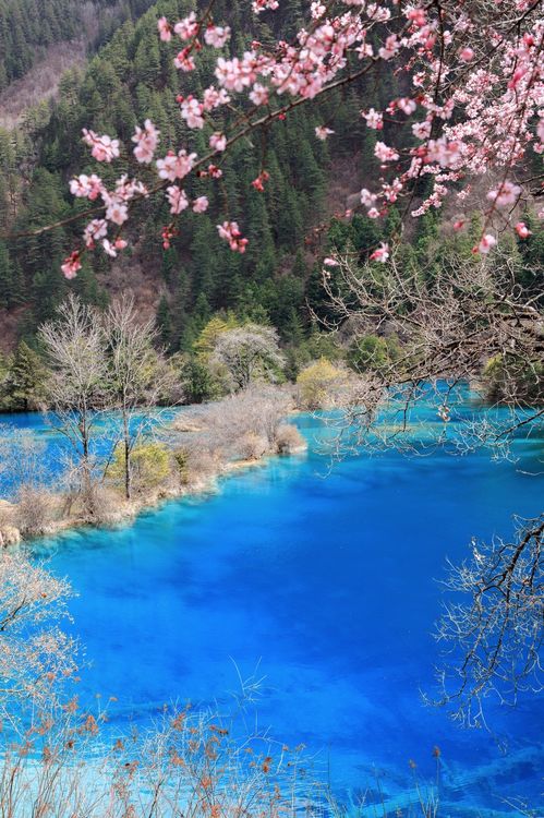 深度探索九寨沟，一次难忘的自然奇境之旅——全面解析九寨沟旅游费用攻略