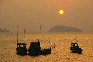 探索金山城市沙滩，亲吻海洋的浪漫之旅