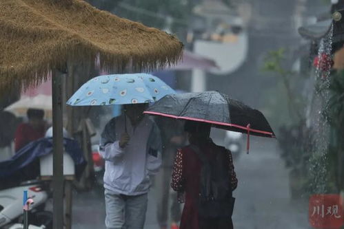 雨中寻妻伞