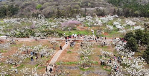 探秘河北，古韵与现代交织的五彩斑斓旅游胜地