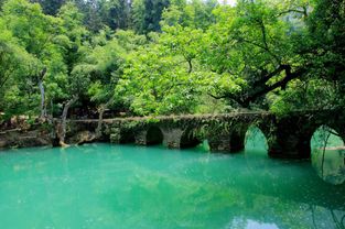 探秘绿色宝石之都，玉林的旅行指南——全方位揭秘旅游景点大全