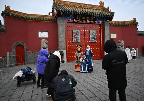 揭秘大观园，穿越时空的红楼之旅