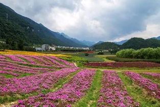 穿越山城秘境，探秘重庆大木花谷——一次难忘的生态之旅