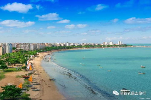 探秘壮美海湾，乐享防城港旅游的独特魅力