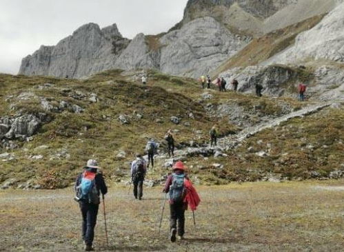 驴友的宝典，揭秘驴友录——你的户外旅行生活指南