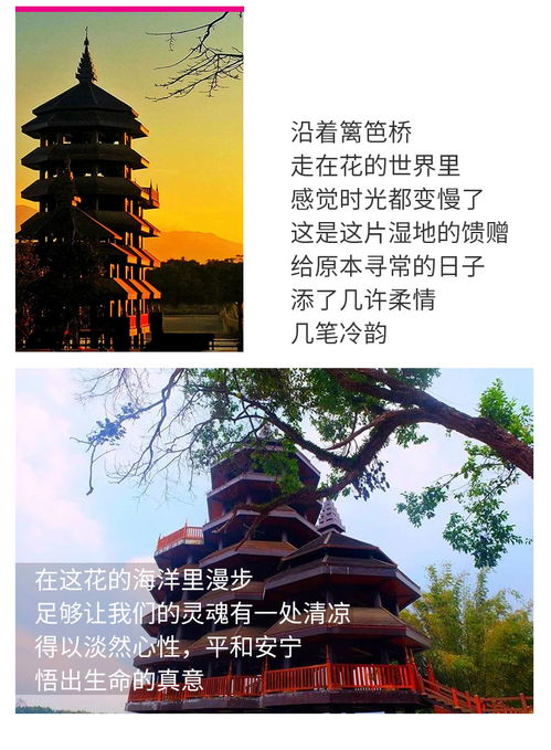 探索千年古韵，一票游尽北海公园的诗情画意