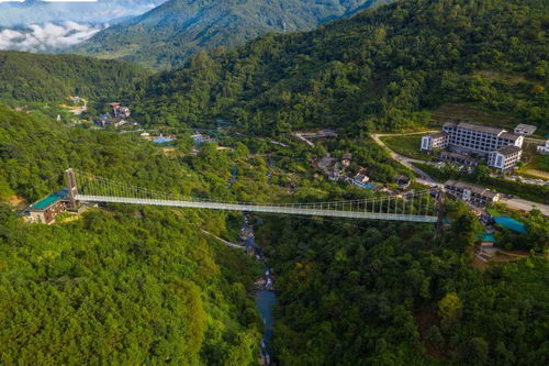 探索云端仙境，一探云台山景区的魅力与奥秘