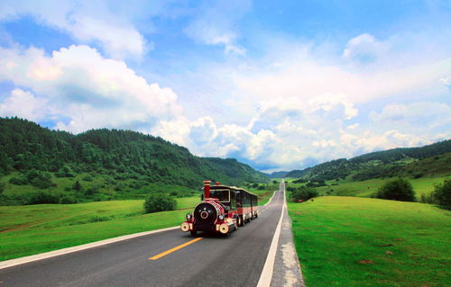 探索魅力无限的河北张北，绿色旅游的新标杆