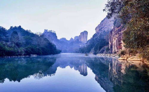 探秘茶韵绿洲，深度解析武夷山的迷人旅游景点