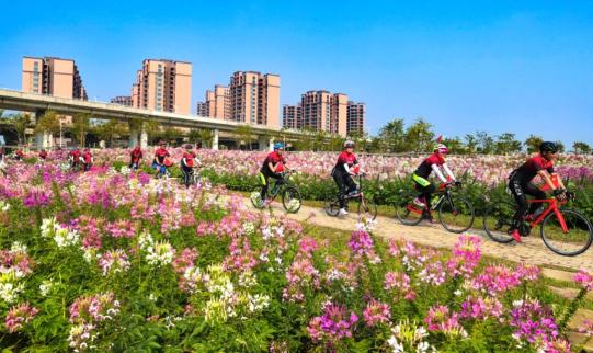 探索宁夏明珠，固原市原州区——城市绿洲与发展的秘密花园