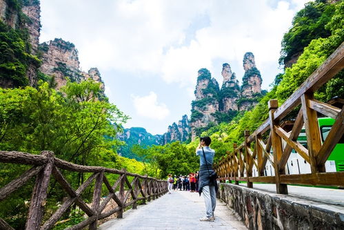 穿越千年的自由行，山西旅游攻略指南