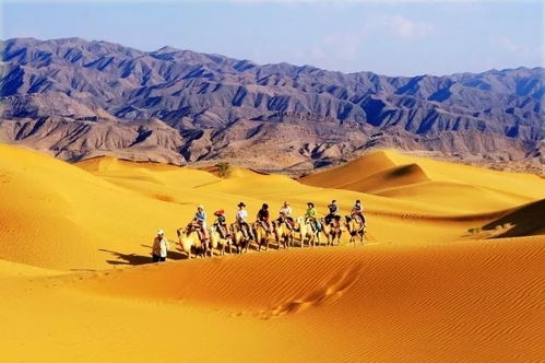 石嘴山，沙漠绿洲中的探险之旅—探索宁夏瑰宝的奇妙旅程