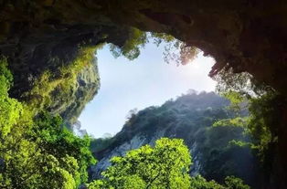 探秘自然的绿色宝藏，野山坡旅游，一场身心的绿色洗礼