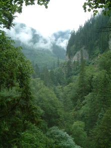 四川旅游必去的景点图片大全，探索蜀地之美