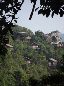 探索成都，必去景点的深度旅游攻略