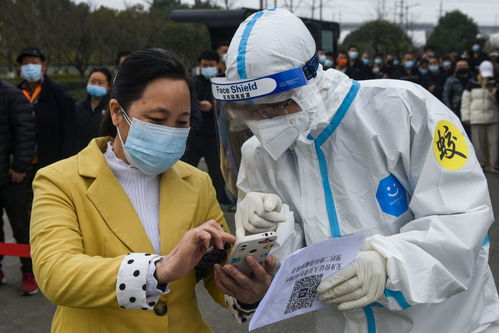 石家庄疫情新动态，深入解析新增3例阳性感染者的影响与防控措施